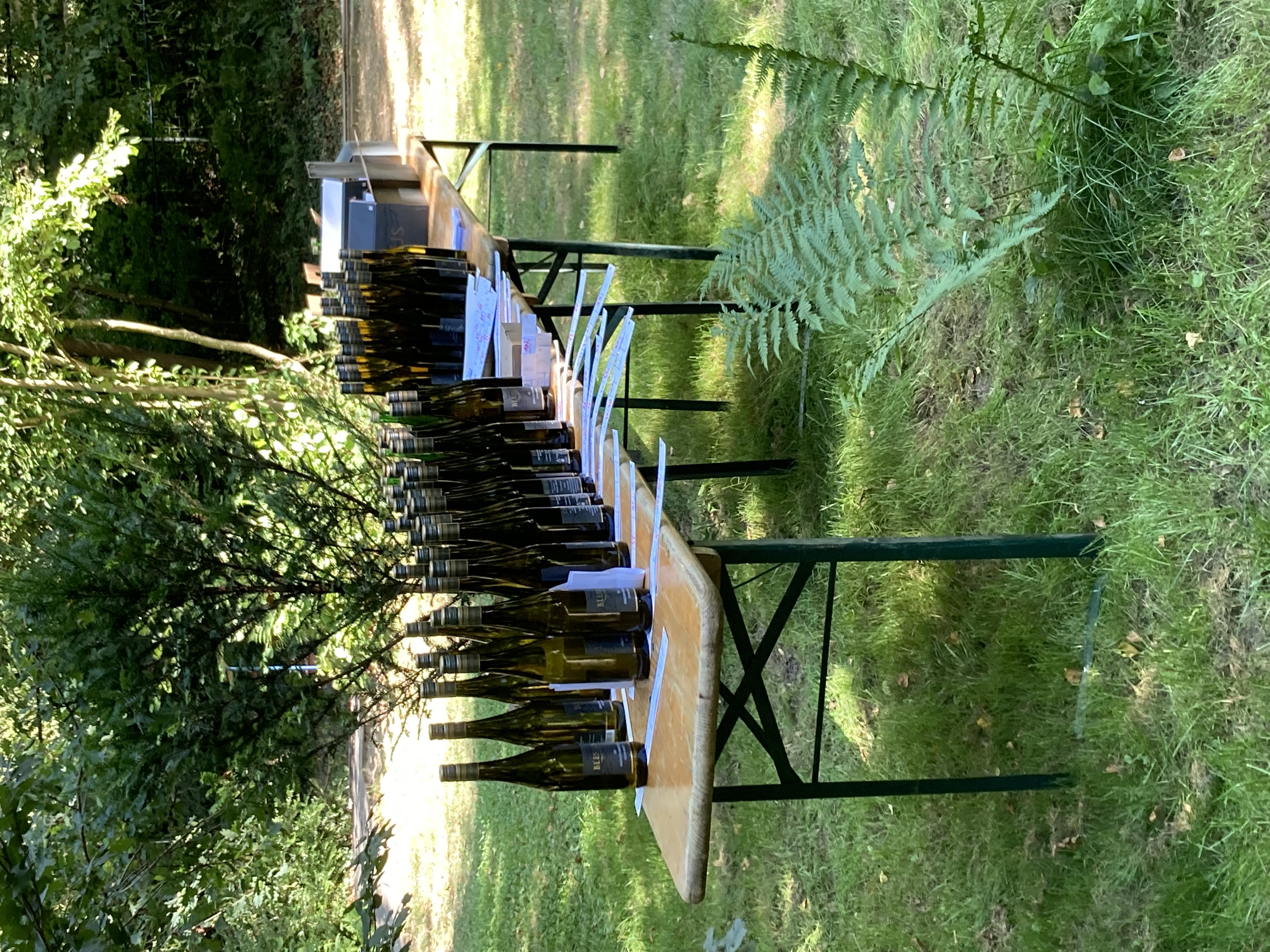 Bild Siegerehrung Mittelmoselturnier 2025